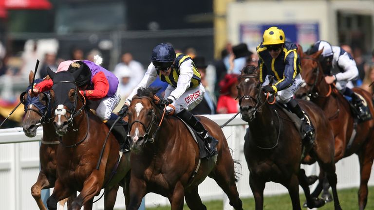 The drive for home begins in the Wolfreton Stakes