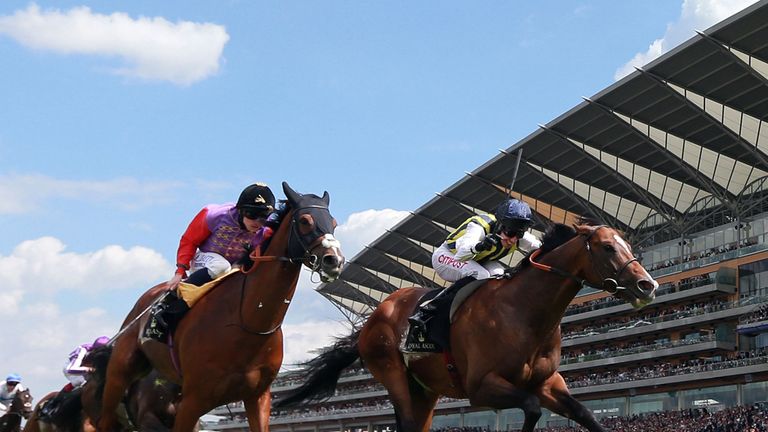 Bold Sniper (left) battles on gamely under Moore