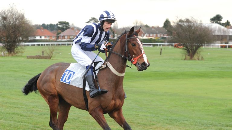 Owls Fc ridden by Steven Gagan goes to post for The Leicester Juvenile Fillies' Novices Hurdle Race