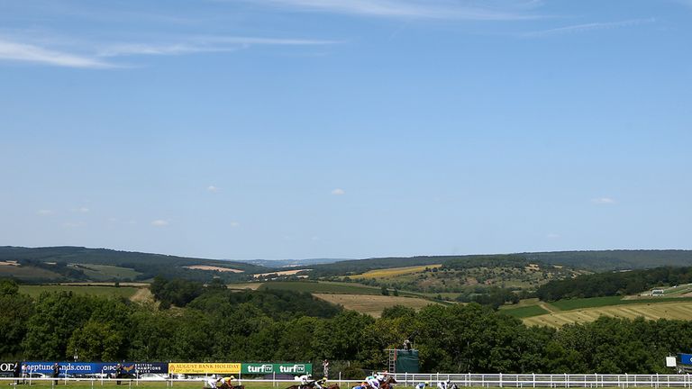 CHICHESTER, ENGLAND - JULY 30: A general view of the action as the horses run in The Goodwood Stakes at Goodwood racecourse on July 30, 2014 in Chichester,