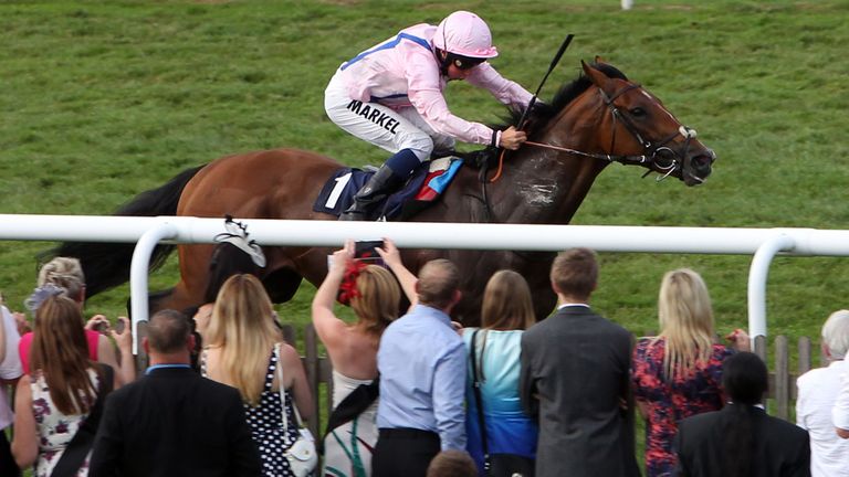 Glorious Protector ridden by Neil Callan wins the Egerton House Stables Handicap