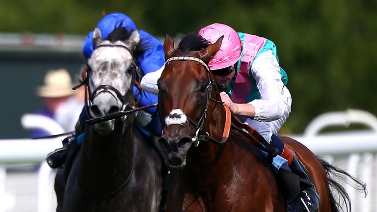 CHICHESTER, ENGLAND - JULY 30: James Doyle (pink cap, R) riding Kingman wins The QIPCO Sussex Stakes at Goodwood racecourse on July 30, 2014 in Chichester,