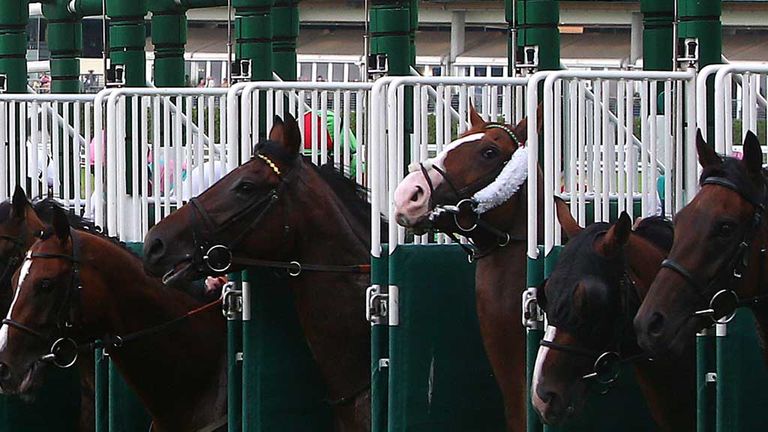 Horse racing generic - flat racing stalls