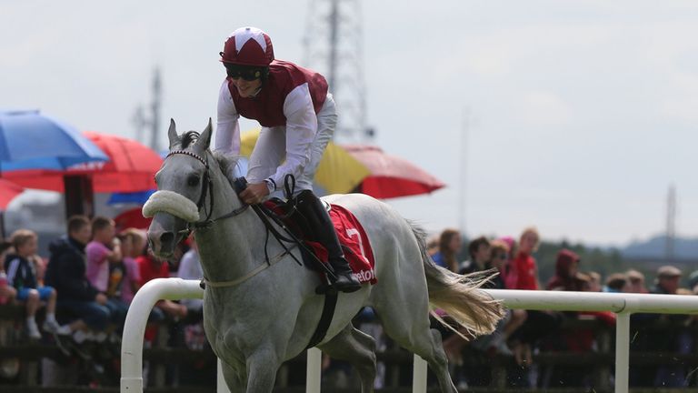 Whitey O' Gwaun ridden by Finian Maguire wins The Grab A Grand With Tote (Q.R.) Maiden on day three of the Galway Festival at Galway Racecourse, Ireland.