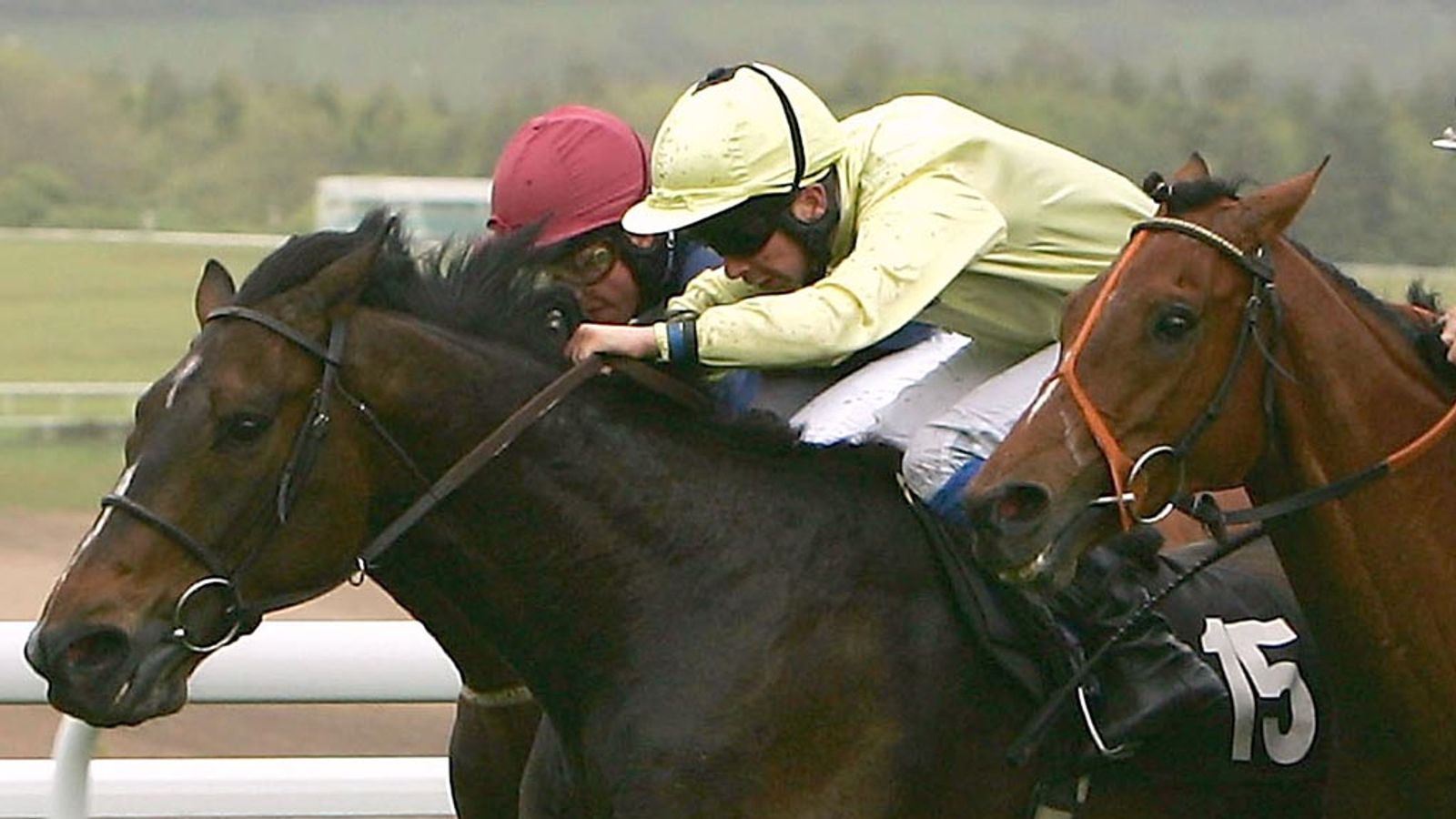 Fran Ferris licence application rejected Racing News Sky Sports