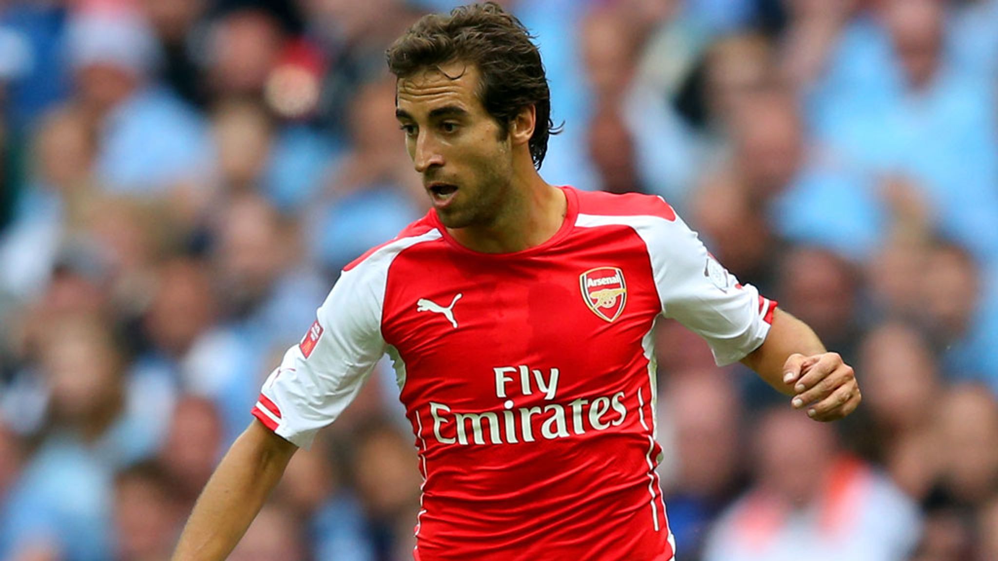 Premier League: Mathieu Flamini insists Arsenal can challenge for the title  | Football News | Sky Sports