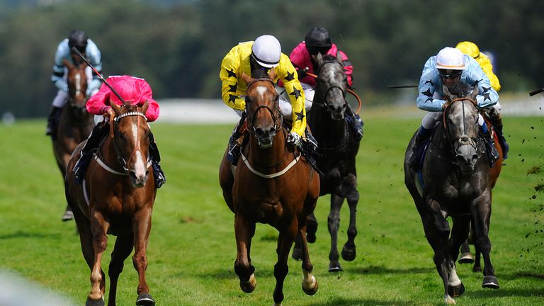 Don't Call Me (pink) wins The Dubai Duty Free Shergar Cup Mile at Ascot 