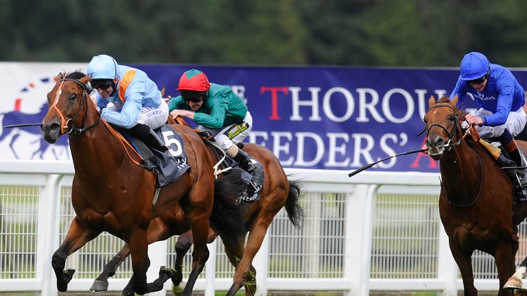 Lexington Times leads the field in The European Wealth Solario Stakes