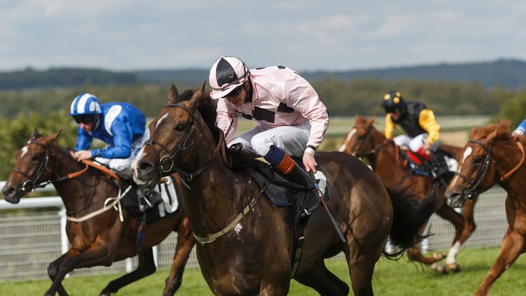 Ansgar ridden by James Doyle comes home to win The Doom Bar Supreme Stakes at Goodwood Racecourse, Chichester.