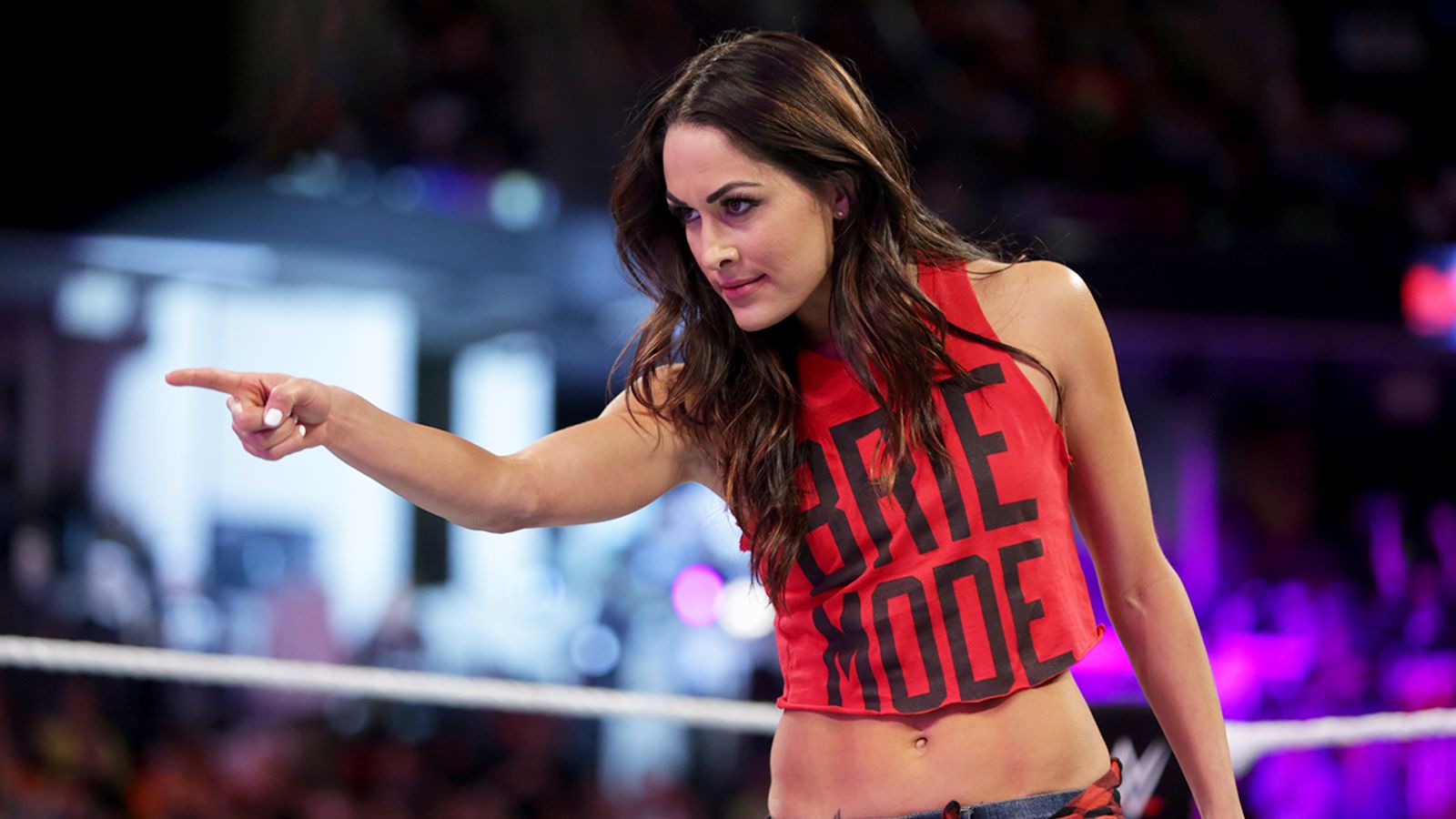 WWE Brie Bella Drops Exit Hint After Daniel Bryan s Retirement WWE