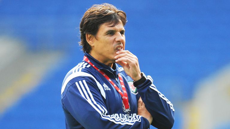 Chris Coleman: Wales boss believes his squad can qualify for the European Championships