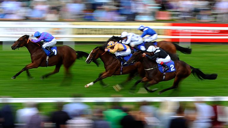 Jelly Monger wins the Virginia Walwyn Memorial EBF Quidhampton Maiden Fillies' Stakes
