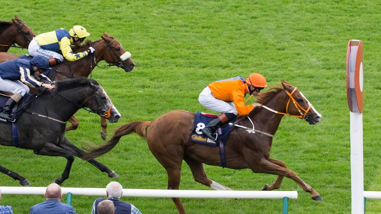 Expose, ridden by David Nolan, wins the William Hill Ayr Bronze Cup