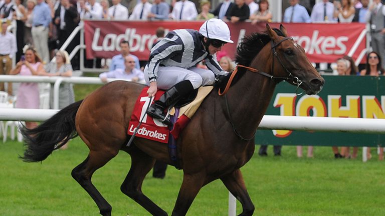Stomachion ridden by Ryan Moore wins the Ladbrokes Mallard Stakes during day three of the 2014 Ladbrokes St Leger Festival at Doncaster Racecourse, Doncast