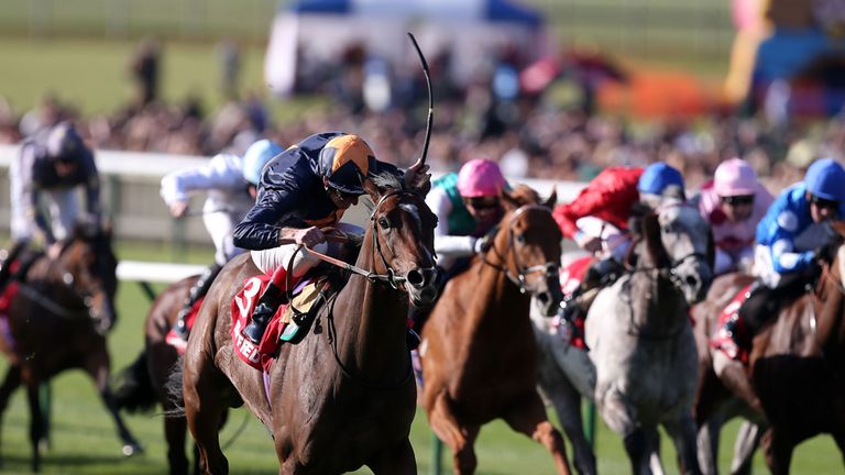 Educate (front centre) ridden by Johnny Murtagh wins the Betfred Cambridgeshire during day three of the 2013 Cambridgeshire Meeting at Newmarket Racecourse