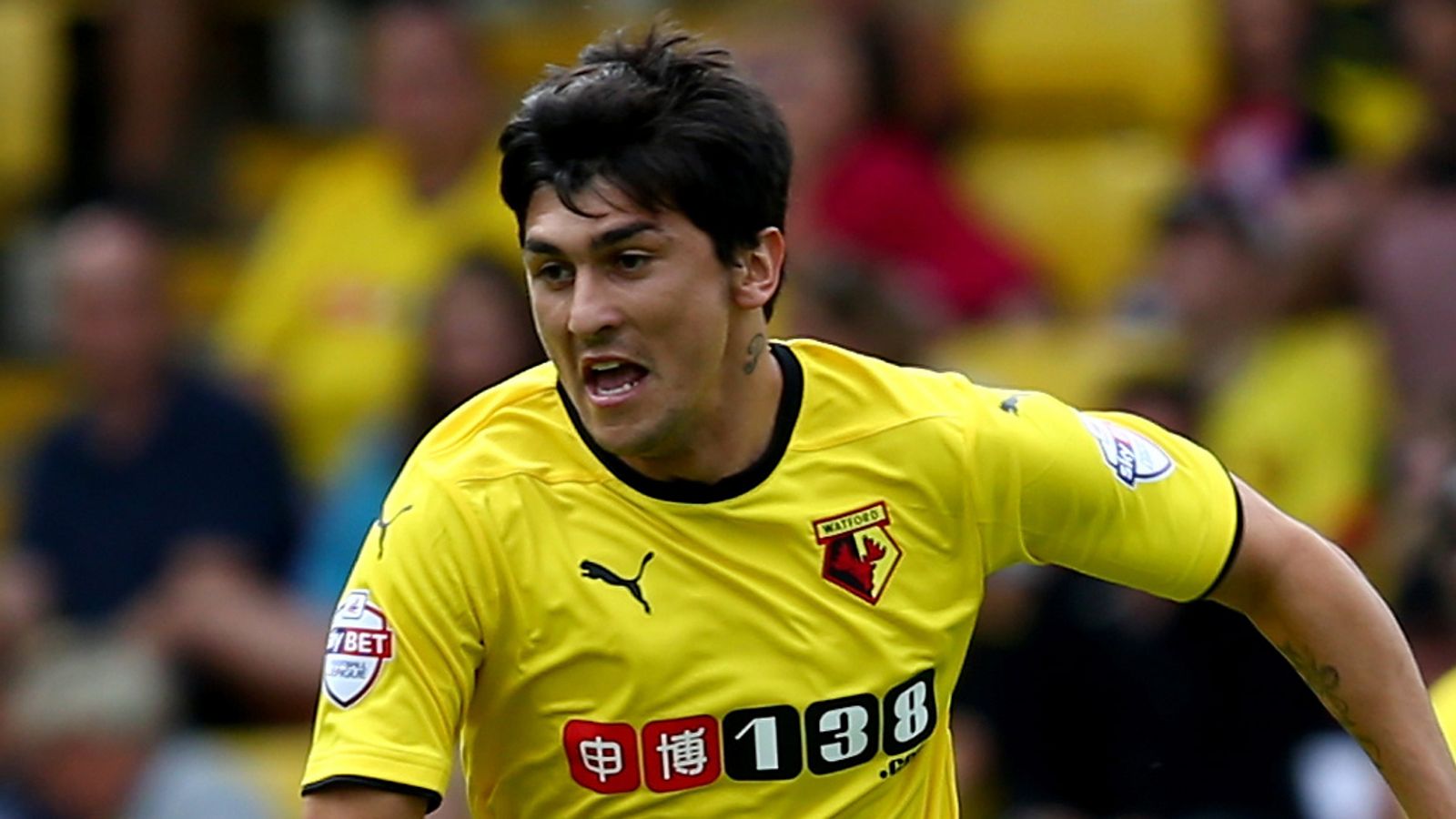 Sheffield Wednesday sign Fernando Forestieri from Watford | Football ...