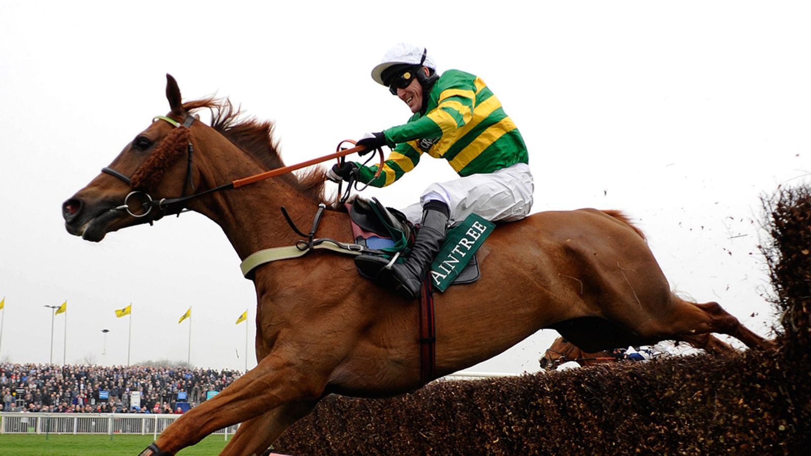 paddy power irish gold cup