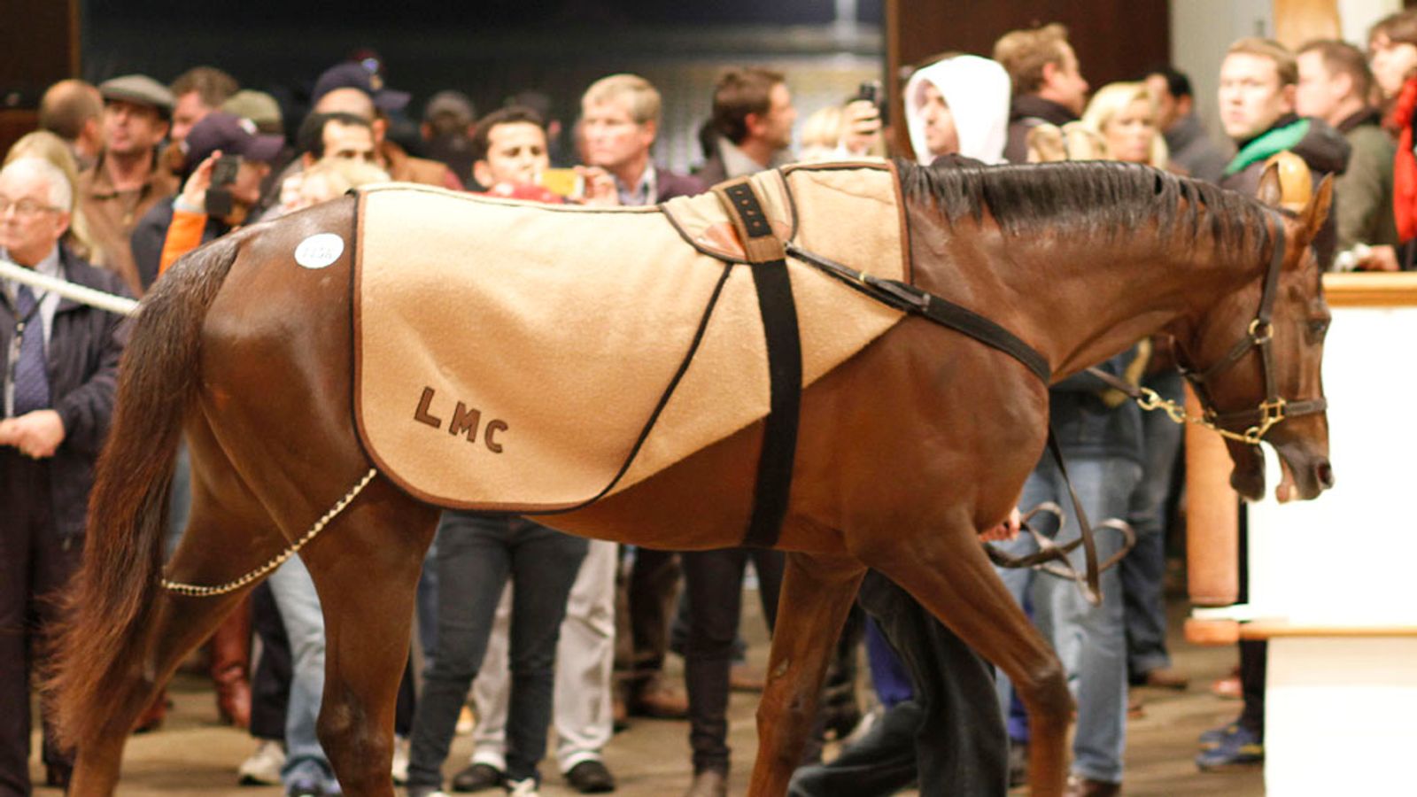 Record day at the Tattersalls Autumn Horses in Training Sale Racing