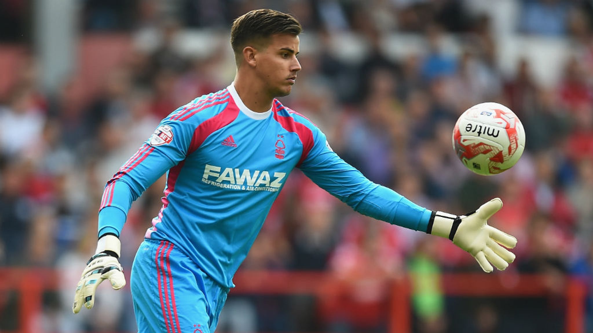 Sky Bet Championship: Karl Darlow committed to Nottingham Forest cause |  Football News | Sky Sports