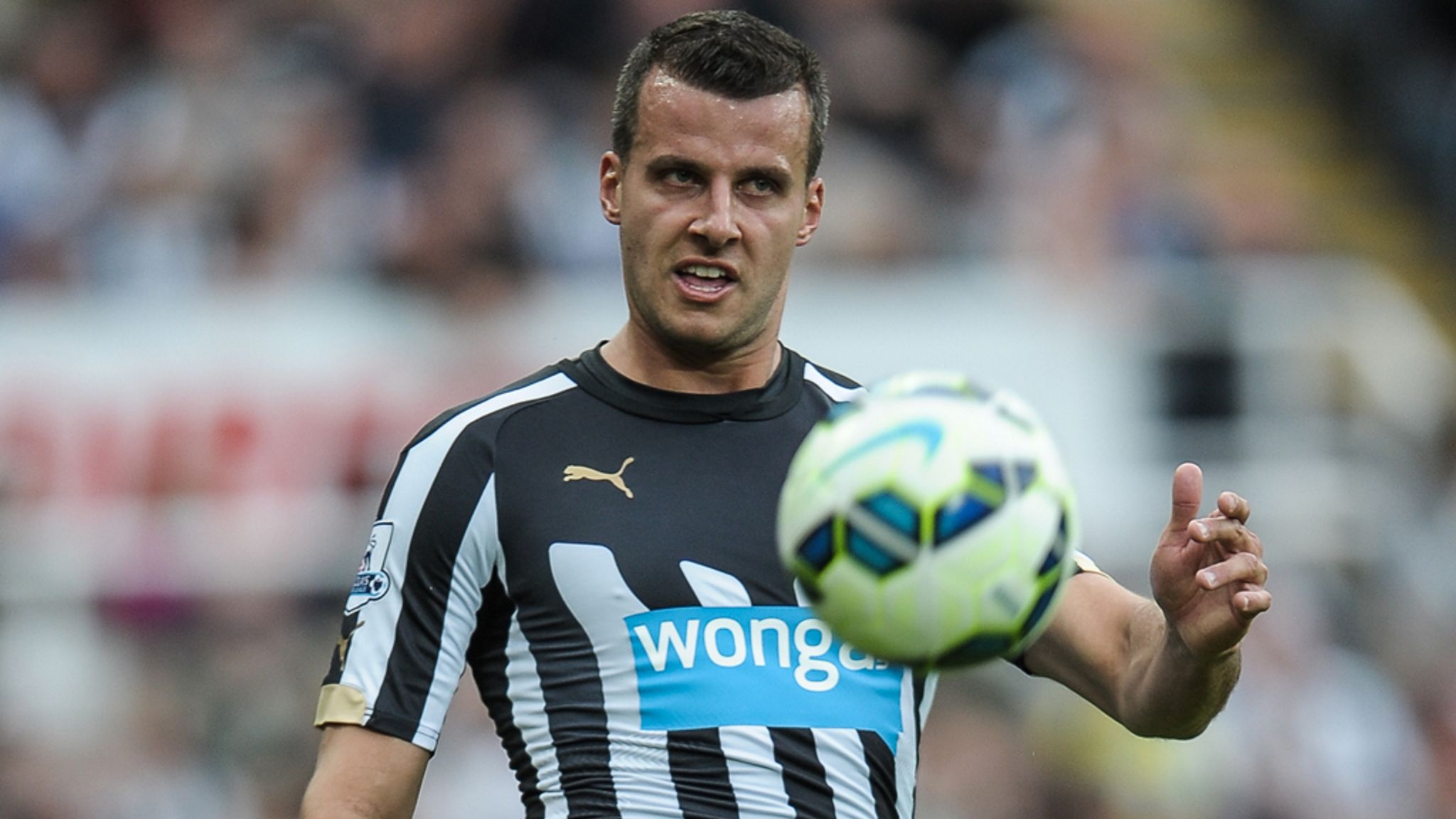 Premier League: Newcastle defender Steven Taylor may miss rest of 