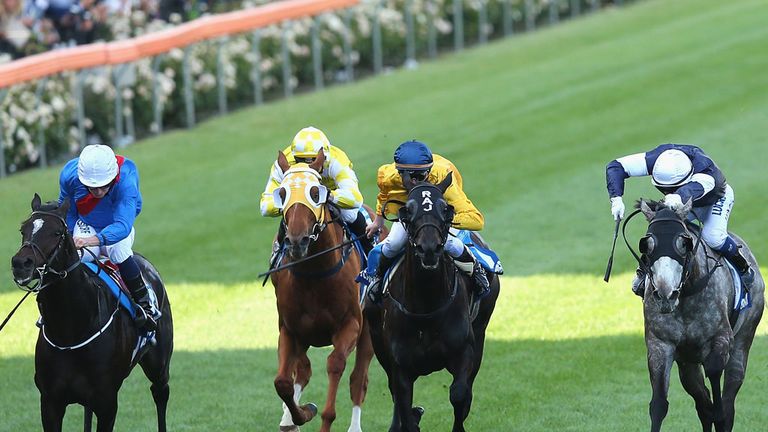  Adelaide (l) leads the field across the line to win the Sportingbet Cox Plate