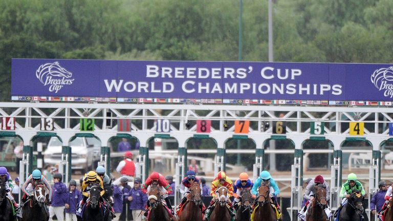 ARCADIA, CA - OCTOBER 31:  Start of the 2014 Breeder's Cup Juvenile Fillies Turf at Santa Anita Park on October 31, 2014 in Arcadia, California.  (Photo by