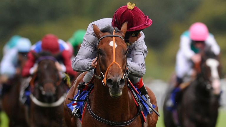 Moheet wins The Francis Clark British Stallion Studs EBF Maiden Stakes