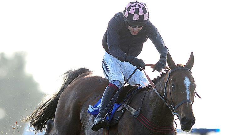 EXETER, ENGLAND - OCTOBER 21:  Court By Surprise ridden by Aidan Coleman clears the last to win the Totetrifecta Pick the 1,2,3 Best Mate Handicap Chase.