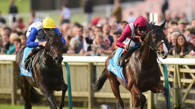 Belardo skips clear of Kodi Bear to win the Dewhurst