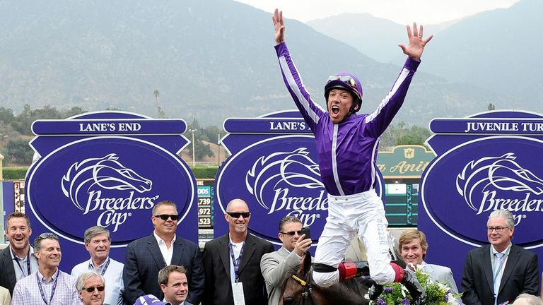 ARCADIA, CA - OCTOBER 31:  Lanfranco Dettori leaps off Hootenanny at the winners circle  in celebration of a victory during the 2014 Breeder's Cup Juvenile