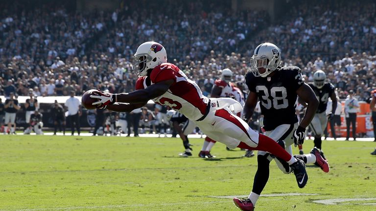 Jaron Brown of the Arizona Cardinals makes the diving catch against the Oakland Raiders