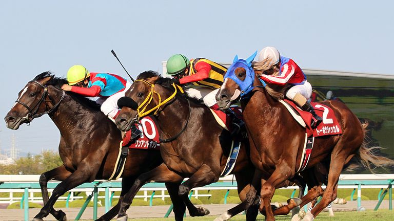 One and Only, Sounds of Earth and Toho Jackal (courtesy of the JRA)