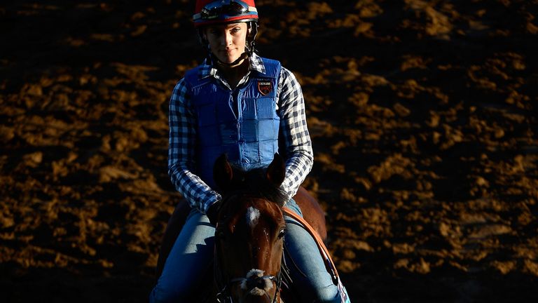 Wet Sail leaves the track after training in preparation for the 2014 Breeder's Cup Juvenile Turf