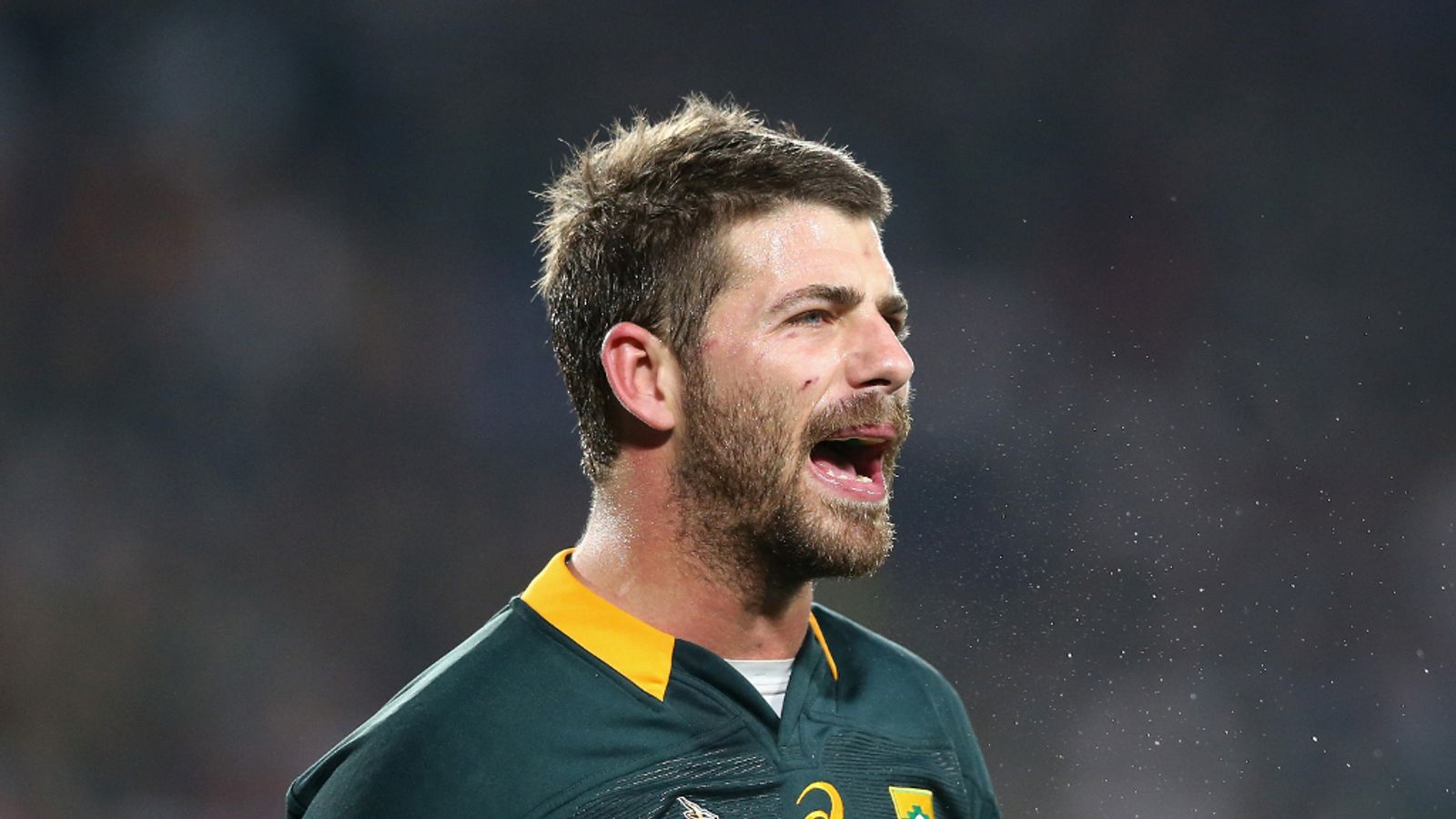 Will Roue Rugby Willie le Roux to join Wasps mid-season, club confirms | Rugby Union ...
