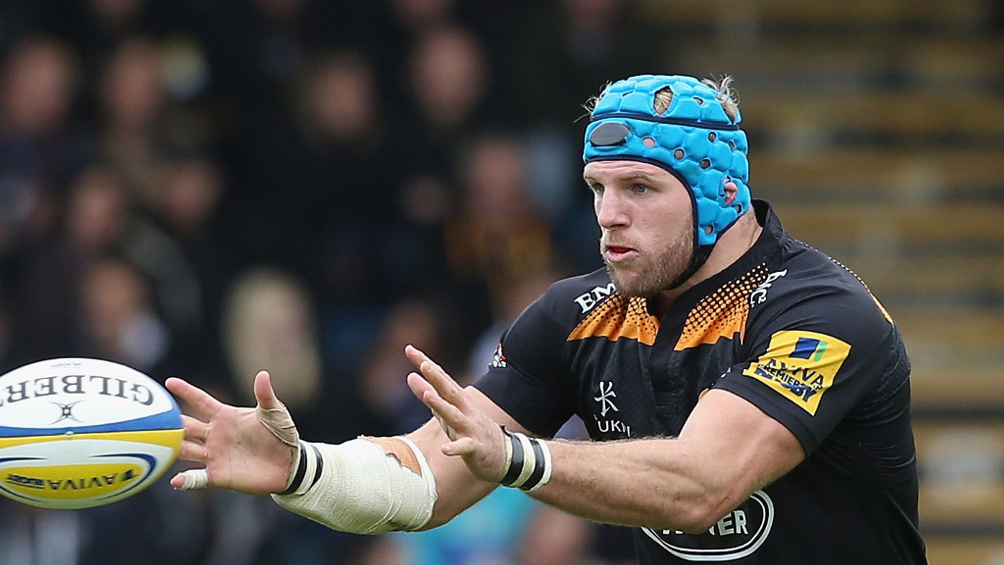 Wasps are heading in a 'positive direction' according to England's ...