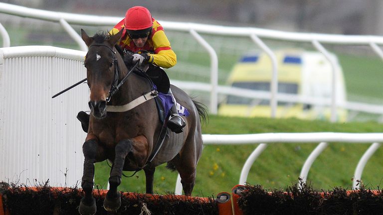 Brian Harding riding One For Harry (L) clear the last to win The Geoffrey McLean Handicap Hurdle Race at Carlisle