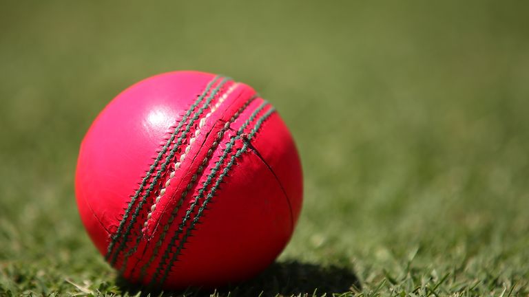 A pink cricket ball 