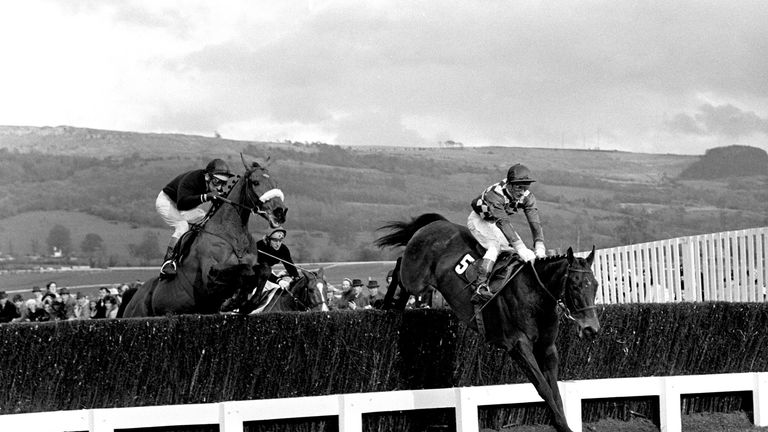 Davy Lad, with Dessie Hughes riding, takes the last fence on the way to winning the Piper Champagne Cheltenham, March 1977