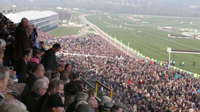 CHELTENHAM, ENGLAND - MARCH 14:  Racegoers watch the Cheltenham Gold Cup from the stands on the final day of the Cheltenham Festival on March 14, 2014 in C