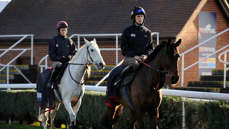 Midnight Prayer and Smad Place in the parade ring at Newbury