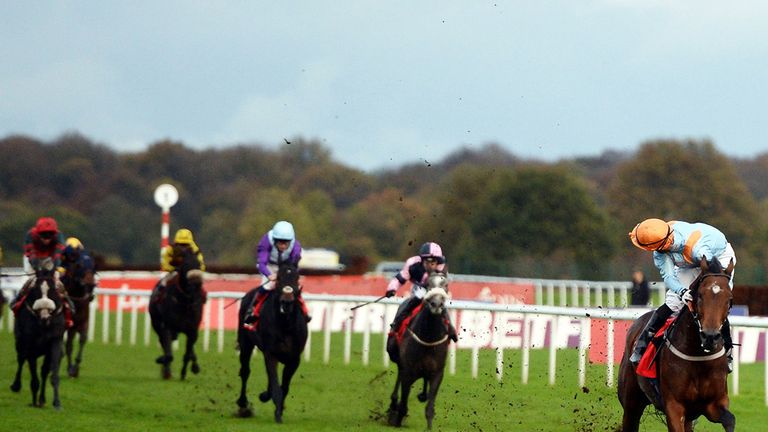 DONCASTER, ENGLAND - NOVEMBER 08:  Open Eagle (R)  ridden by Daniel Tudhope wins The Betfred November Handicap Stakes at Doncaster Racecourse on November 8