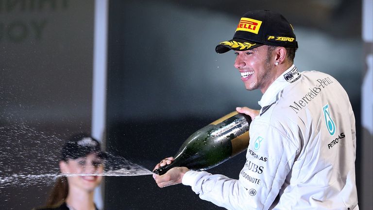 Lewis Hamilton celebrates winning the Formula 1 title