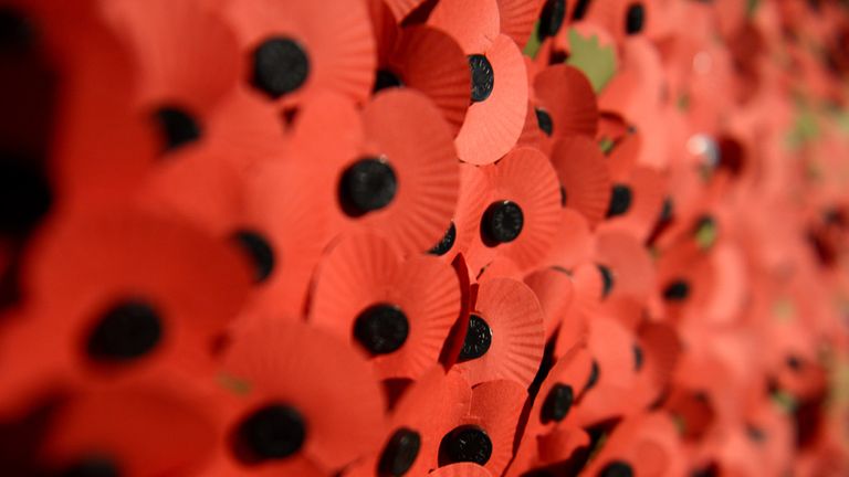 A poppy wall outside White Hart Lane in support of the Royal British Legion Poppy Appeal before the Capital One Cup Fourth Round match at White Hart Lane, 