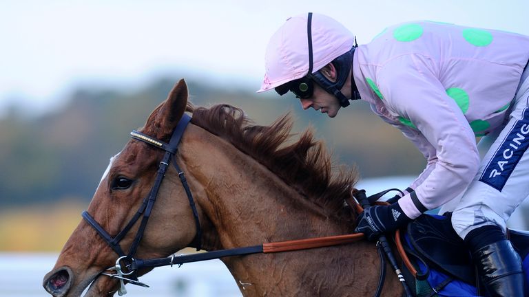 ASCOT, ENGLAND - NOVEMBER 23:  Ruby Walsh riding Annie Power on their way to winning The Coral Hurdle Race Ascot racecourse on November 23, 2013 in Ascot, 