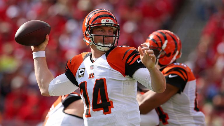 TAMPA, FL - NOVEMBER 30:  Andy Dalton #14 of the Cincinnati Bengals  passes during a game against the Tampa Bay Buccaneers  at Raymond James Stadium on Nov