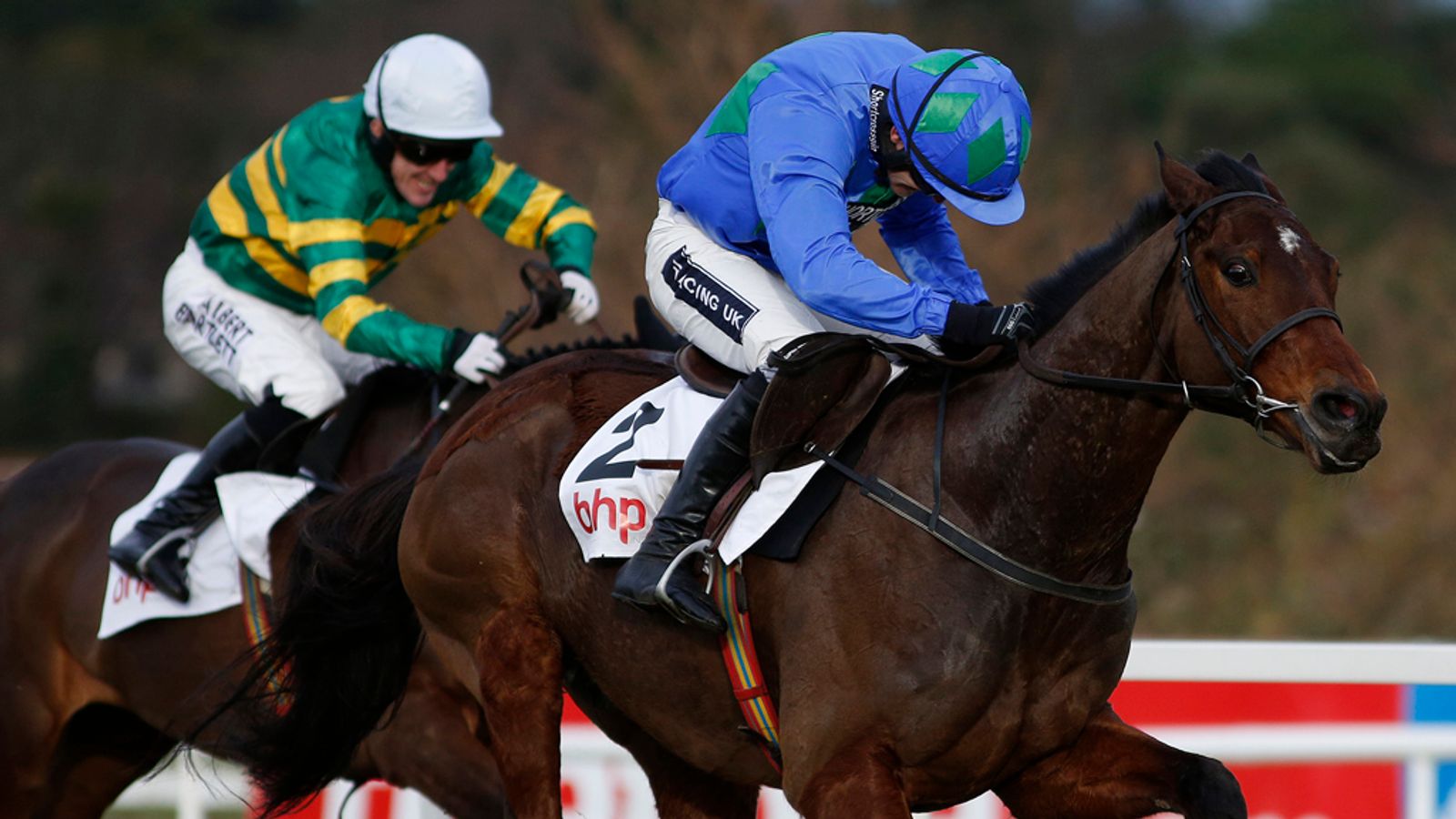 Hurricane Fly heads Aintree entries Racing News Sky Sports