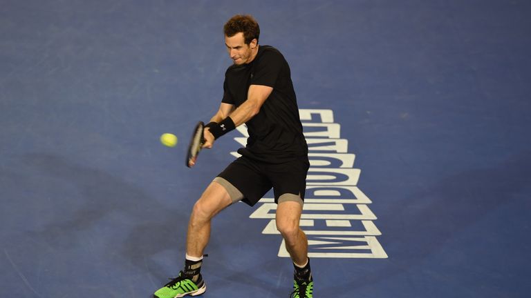 Britain's Andy Murray plays a shot during his men's singles semi-final match against Czech Republic's Tomas Berdych
