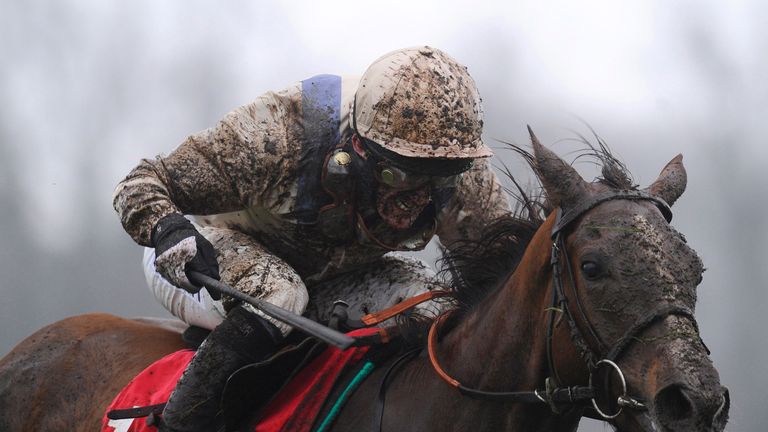 ESHER, ENGLAND - JANUARY 03:  Tony McCoy riding Aurore d'Estruval clear the last to win The 32Red.com Mares' Hurdle Race at Sandown racecourse.