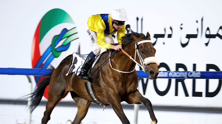 Mubtaahij (courtesy of Dubai Racing Club)