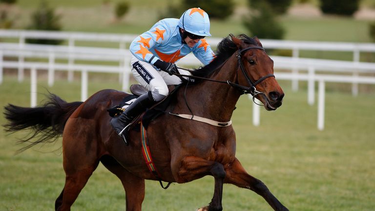 DUBLIN, IRELAND - JANUARY 25:  Ruby Walsh riding Un De Sceaux clear the last to win The Frank Ward Solicitors Arkle Novie Steeple Chase at Leopardstown.